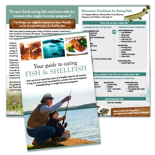 Brochure Design | Cornell University Department of Natural Resources | focused target market on consumption of fish and shellfish | deparment located in Ithaca, NY