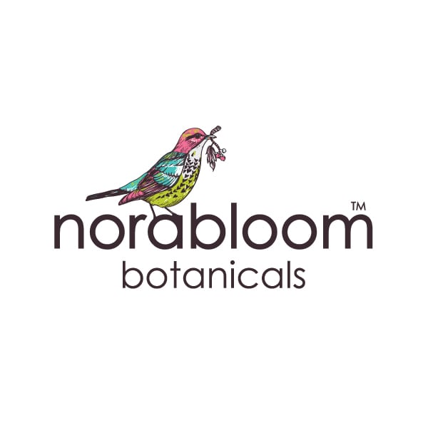 Feminine Boutique Logo Design | Norabloom Botanicals | target market of health conscious, women, skin care and cosmetics | organic, natural, botanical brand located in Ithaca, NY