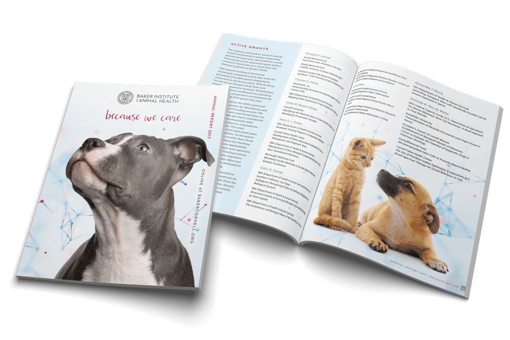 Annual Report Design | 2017 | Cornell University Baker Institute for Animal Health | Report features research updates and articles about the work performed at the Baker Institute for Animal Health