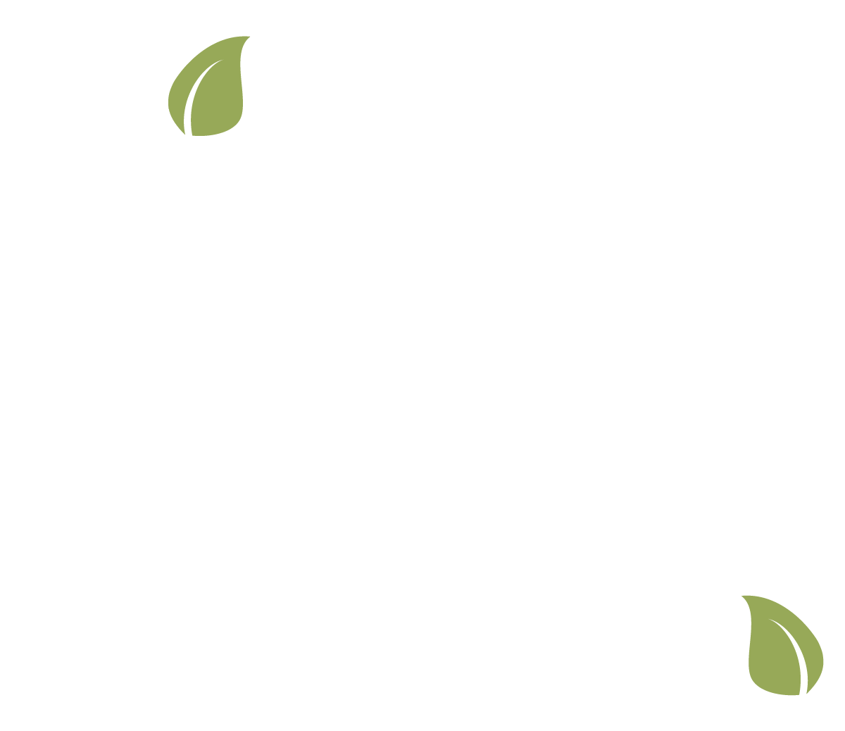 Flourish Design Studio