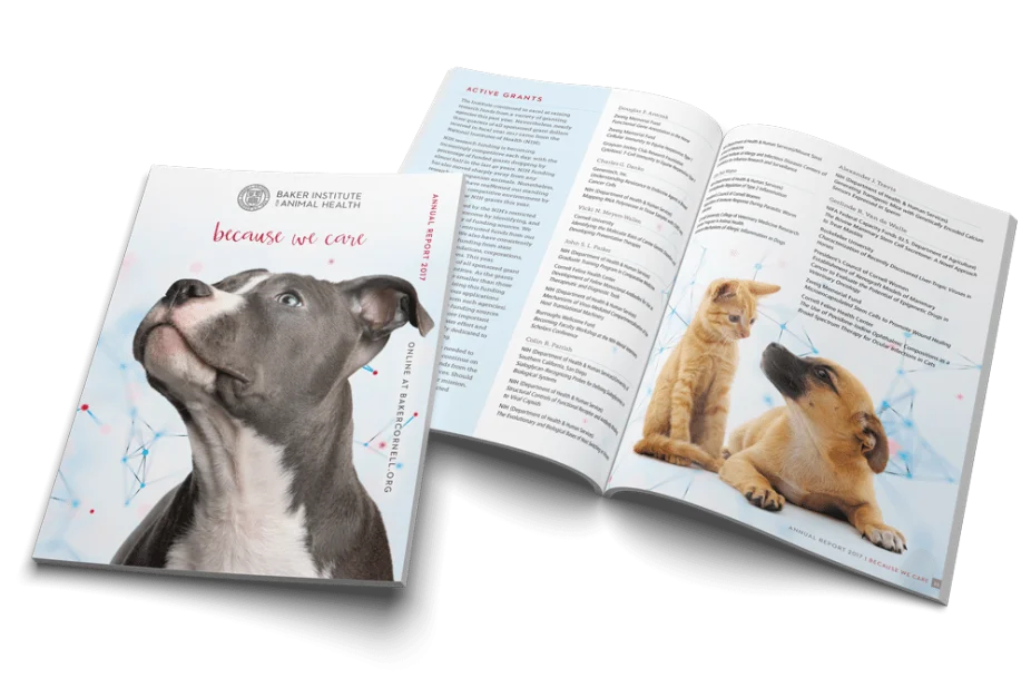 Annual Report Design | 2017 | Cornell University Baker Institute for Animal Health | Report features research updates and articles about the work performed at the Baker Institute for Animal Health